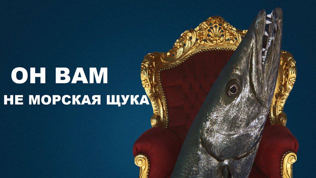 Источник: Навальный.com