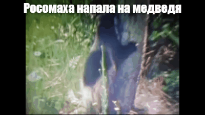 Фрагмент взят из ютюб
