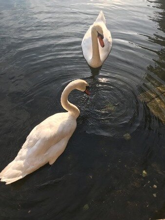 На Чистых прудах. Фото автора