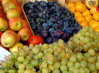 По данным Всемирной организации здравоохранения, за последний год удалось избежать более 2,5 миллионов смертельных случаев среди больных раком, благодаря употреблению ими фруктов и овощей. 
Как утверждает ВОЗ, фрукты и овощи не только помогают преодолеть хронические формы заболеваний, но и повышают сопротивляемость организма различным инфекциям.

Пять раз в день

В Берлине прошел международный симпозиум, посвященный борьбе с онкологическими и сердечно-сосудистыми заболеваниями. Организаторами форума выступили Всемирная организация здравоохранения, немецкое Общество по борьбе с раком, а также специалисты-диетологи из разных стран. Конференция такого рода в Европе проводилась впервые. Эксперты и научные работники в ходе симпозиума высказали мнение, что ежедневное употребление пяти порций овощей и фруктов может существенно снизить вероятность раковых и сердечно-сосудистых заболеваний.

Германский раковый центр в ГейдельбергеАктивное участие в работе конференции приняло немецкое Общество по борьбе с раком. На данный момент эта организация реализует в Германии проект под названием "Пять раз в день", который, по мнению врачей, должен стать основным этапом национальной программы по борьбе с раковыми заболеваниями.

Как отмечает Герхард Рехкеммер, специалист в области питания Технического университета Мюнхена, если ежедневно съедать по меньшей мере пять порций овощей и фруктов, то риск заболеть раком (особенно это касается рака желудочно-кишечного тракта) существенно снижается. К сожалению, немцы не всегда прислушиваются к советам медиков.

"Если говорить о потреблении овощей, последние данные свидетельствуют о том, что один житель Германии потребляет в среднем 90 кг. овощей в год. Исходя из этого, в день он ест примерно 120 гр. овощей, в то время как суточная норма должна быть 375 гр. Как видим, реальное потребление сильно отличается от нормы. Конечно, в средиземноморских странах, к примеру, потребление этих продуктов в среднем выше европейских норм".

По словам ученого, в странах Средиземноморья, где фрукты и овощи издавна составляют значительную часть рациона местных жителей, число онкологических или сердечно-сосудистых заболеваний, согласно статистике, значительно меньше. Рехкемер отмечает, что немцы по потреблению сока занимают первое место в мире, но это всего лишь одна дневная порция.

Курение70% заболеваний раком вызваны либо курением, либо неправильным питанием

Клаус Хоффкен, президент Немецкого общества по борьбе с раком приводит цифры, которые заставляют задуматься:
"70 процентов заболеваний раком вызваны либо курением, либо неправильным питанием. Мы стремимся к сокращению числа заболеваний на 30 процентов, поэтому, я полагаю, необходимо осуществить гигантскую работу по изменению привычек населения. Сокращение заболеваний на 30 процентов - это планы на ближайшие 10 лет".

На ранней стадии...

Ссылаясь на достоверные источники, Хоффкен говорит о том, что число заболеваний раком удалось снизить за последнее время лишь в тех областях страны, где, например, сократилось число курильщиков, или в тех случаях, когда болезнь удалось распознать на ранней стадии и вовремя начать лечение.

Государственная программа борьбы с курением

Дерек Ях из Всемирной организации здравоохранения, имеющей представительства в 192 странах мира, на симпозиуме в Берлине говорил не только о том, что важно есть больше овощей и фруктов, но и о том, что следует ужесточить меры, направленные против курения, в частности, в Германии:

"В Германии от курения умирает ежегодно 120 тысяч человек. Решить проблему очень просто: необходимо в достаточной мере осуществлять табачный контроль. На сегодняшний день среди развитых стран Германия имеет очень плохие показатели. ВОЗ очень рада, что сейчас министерство здравоохранения впервые за всю историю Германии начинает проводить активную политику в этом направлении."

Элио Риболи из Международного научного центра ВОЗ в Лионе привел результаты недавних исследований, согласно которым, повышенное потребление овощей и фруктов защищает человека от заболевания раком пищевода, кишечника и легких.

Брюссельская и брокколи...

Выводы ученых об эффективности овощей и фруктов основаны на данных исследований. Профессор Рехкеммер из Технического университета Мюнхена выделил 50 тысяч активных ферментов, имеющихся в растительной пище. Согласно профессору Рехкммеру, есть точные данные о том, что определенные овощи особенно ценны для здоровья, например, некоторые виды капусты: брюссельская и брокколи. Но полезные вещества содержатся не только в капусте, подчеркнул Герхардт Рехкеммер:

"Мы изучали каротиноиды, вещества, содержащиеся, например, в помидорах и моркови, на предмет их влияния на развитие рака легких и предстательной железы. Существуют также и так называемые фито-острогены. Это соединения, которые противостоят развитию рака грудной и предстательной железы. Они содержатся в соевых продуктах, а также в льняном семени и во ржи".

По мнению немецких специалистов, особенно большое внимание сегодня следует уделять работе с молодежью, так как изменять привычки в области питания следует с раннего возраста.
