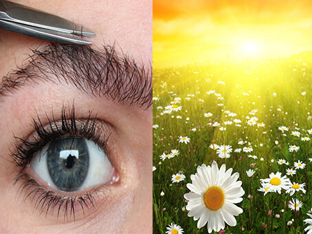 Вьющиеся брови и лето