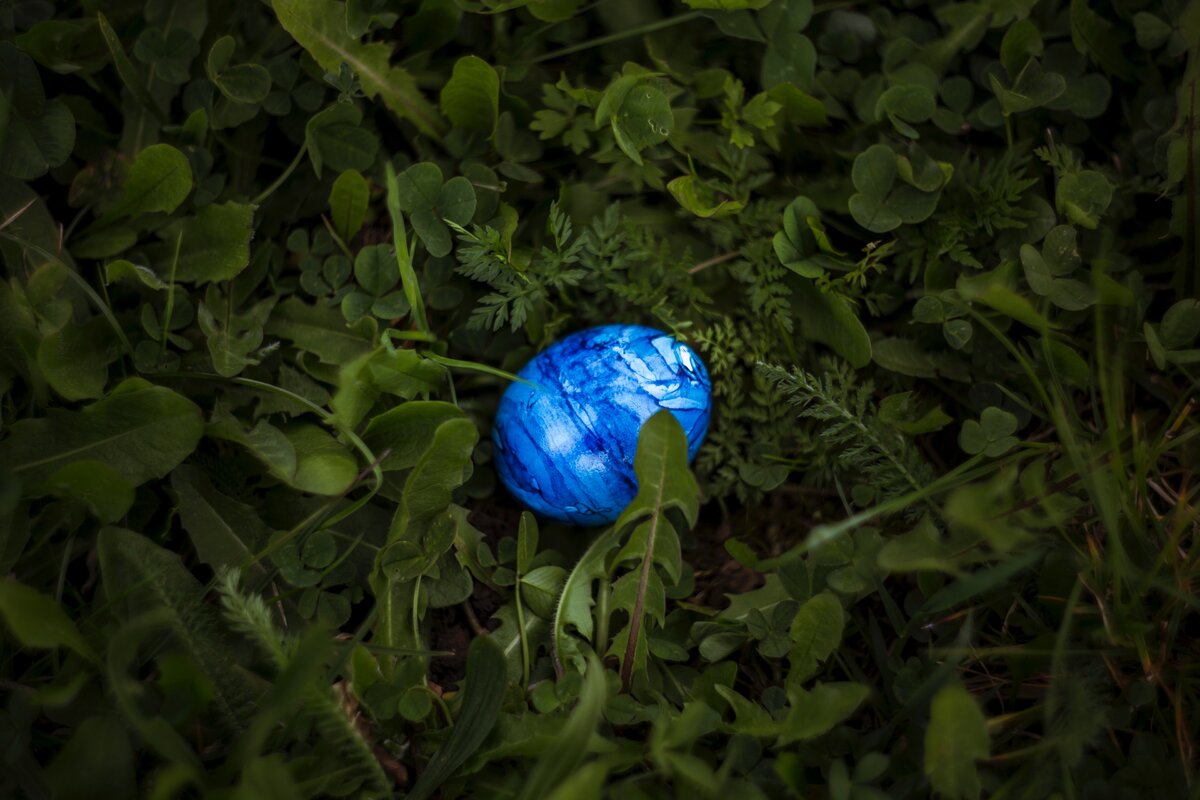 Photo by Markus Spiske on Unsplash
