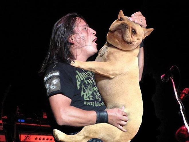 Фото: bassdogs.tumblr.com