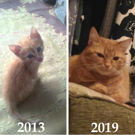 А время-то летит.