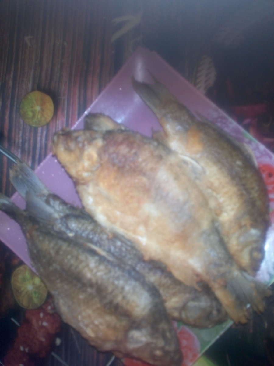 по качеству фото, вы,вероятно. уже дога дались, что МОЁ). Карасей не я ловила, подарили. Да. маленькие, но глазищщи у них - ВОООО!)