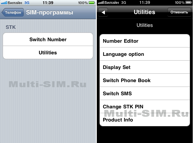 Меню MultiSim на примере iPhone