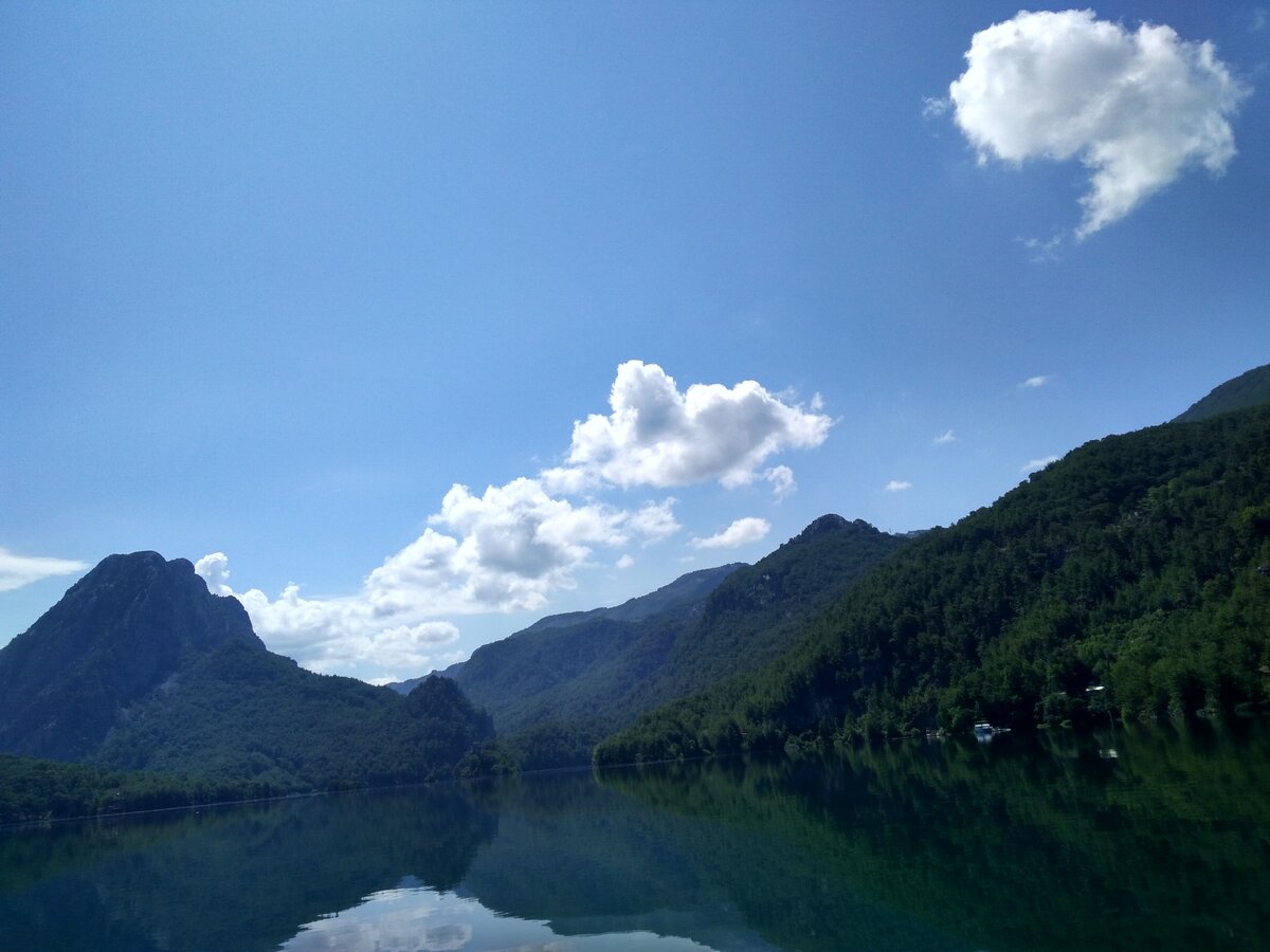 напоминает зеленые верхушки в Тае