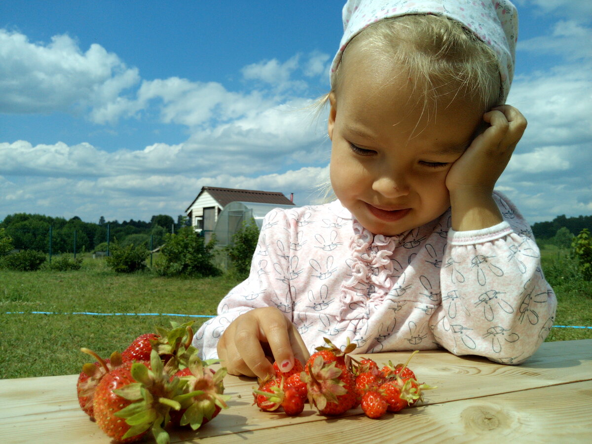очень говорящее фото, не могла я им не поделиться. Верка страдает, что клубника не выросла...