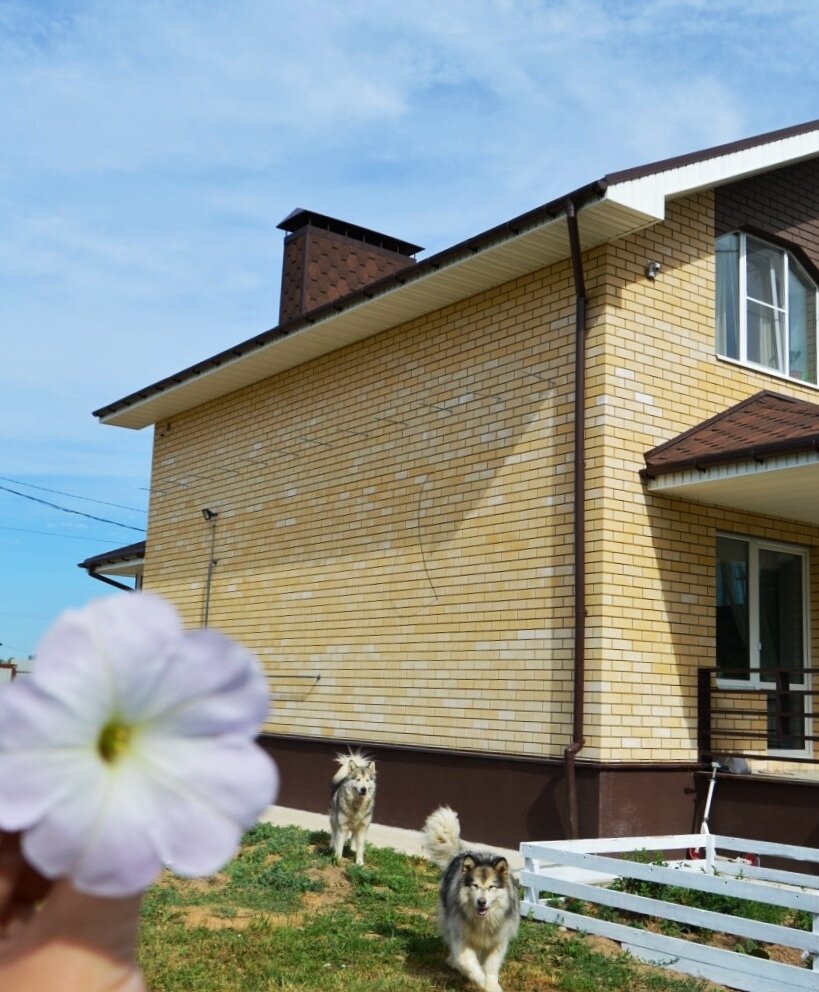 Подсев в очередной раз на фэнтези с вампирами и оборотнями, я зачиталась до полуночи. 
Отложив телефон, залюбовалась луной в окошке - почти полная!

Я проснулась от дикого воя... Протяжного, жуткого... Сердце ухнуло куда-то вниз и оттуда отбивала молотком. Мороз по коже. -Денис, там кто-то воет. Мне страшно!

Смешно, при наличии двух собак испугаться этого звука. Но выла не наша.

Сразу вспомнилась история, произошедшая пару лет назад прямо за нашим участком. Там овраг и в самой низине болото, где местный житель нашел мертвого цыгана. Крест в память о нем до сих пор стоит недалеко.

Выглянули в окно. На дороге, напротив нашей калитки лежала огромная черная собака и выла... Душе-раз-ди-ра-ю-ще! А наши молчали и от этого было не по себе еще больше.

А потом она просто встала и ушла! Не объяснилась, не извинилась. Вот так вот, товарищи, мистику на ночь читать! Лучше анекдоты, чтобы просыпаться от смеха, а не от ужаса.