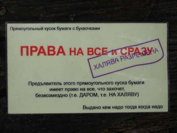 Фото взято из интернета