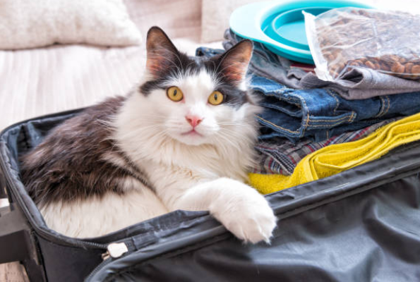 Фото: iStockPhoto