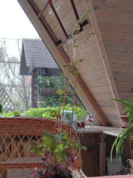 Вот кусочек дивана из этого набора и не скажешь, что ему уже 20 лет