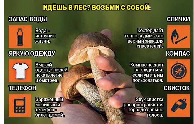 Если соблюдать правила безопасности на природе, можно избежать беды.Инфографика Кирилла Будаева.