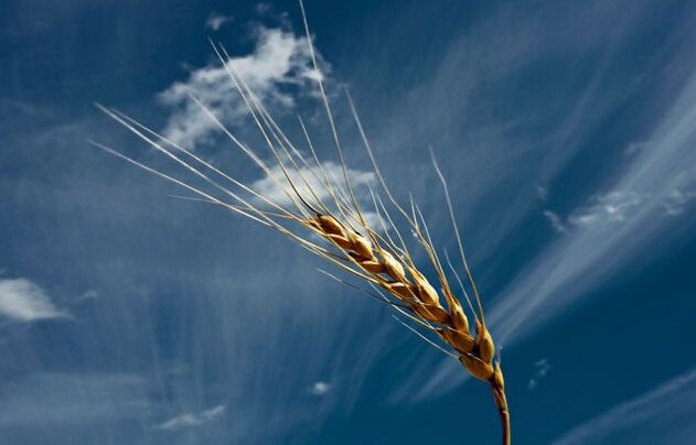 Подписывайтесь на канал! Ставьте лайки!