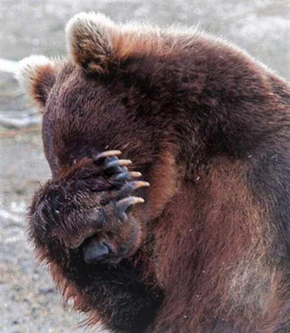 Картинка взята из открытых источников!