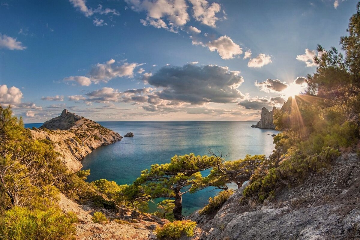 Фото с сервиса "Яндекс картинки"