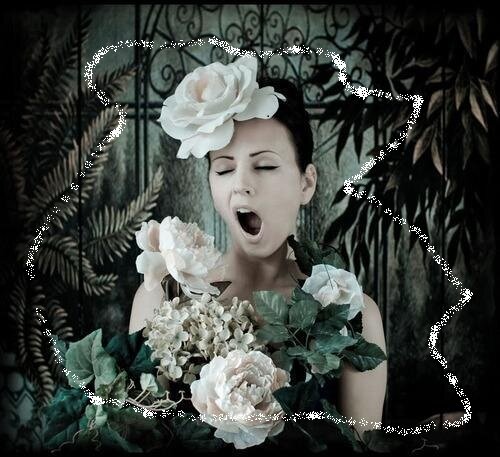 Изучаю инвестиции. картинка с интернета