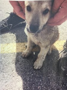 Источник изображения: KXAN News