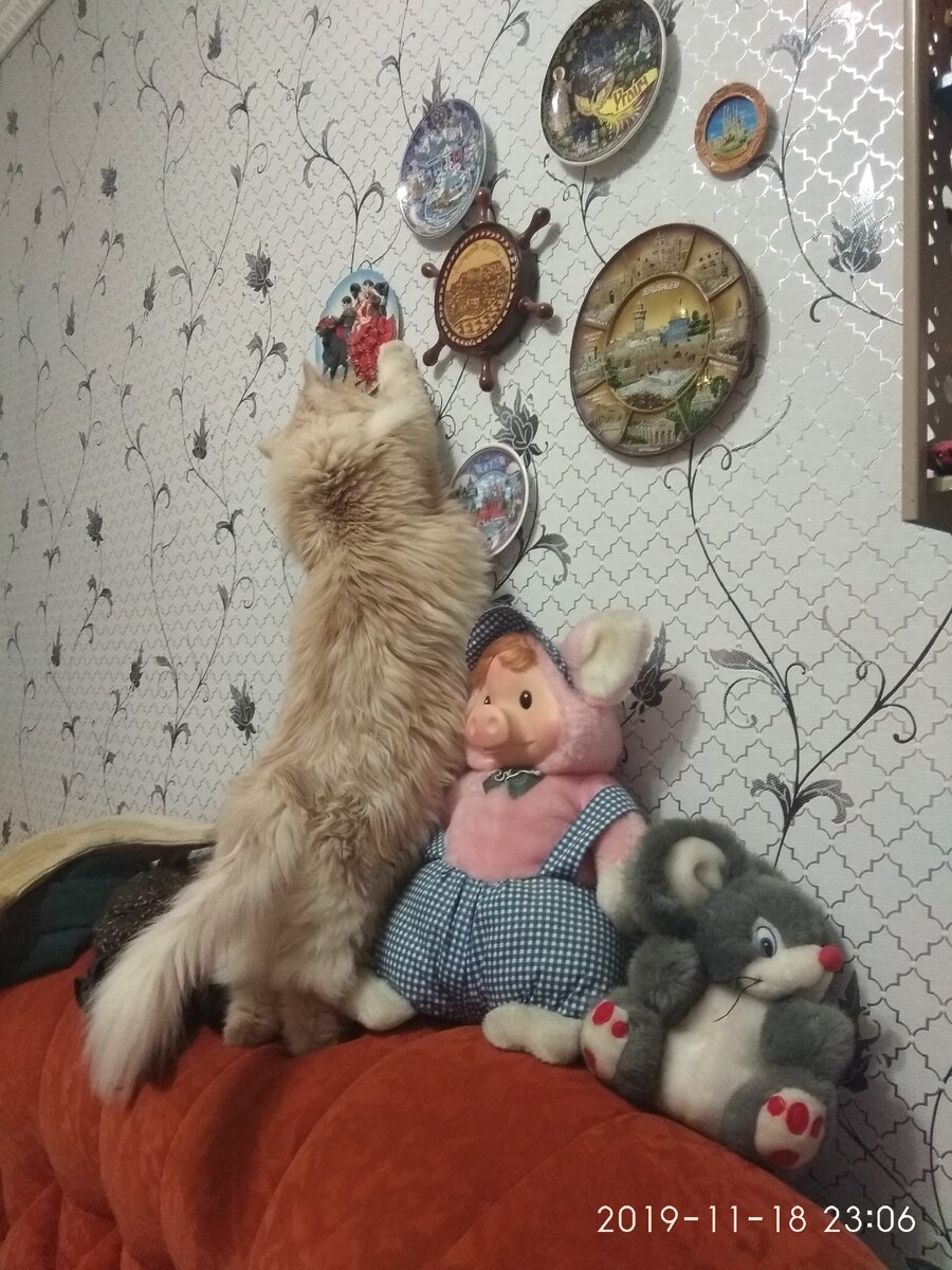 На потолок не залез, но стены проверил)). Странно-тарелочки есть, а в тарелочках ничего нет... Непорядок. 