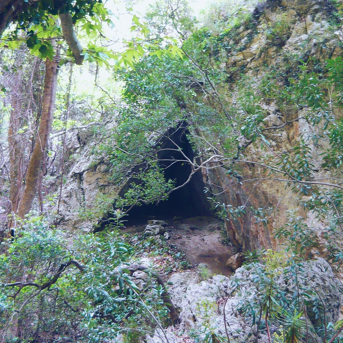 треугольная пещера