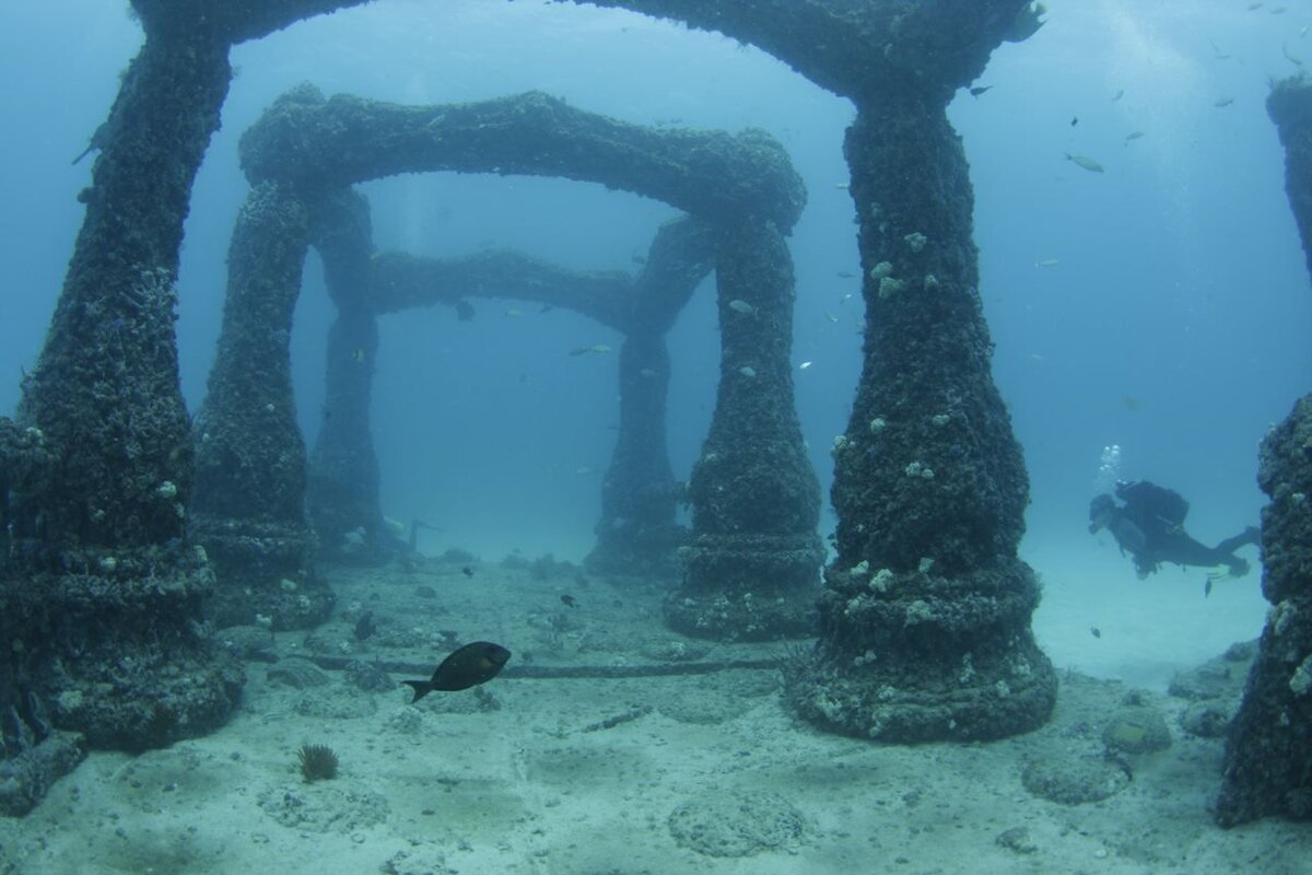 Os maiores mistérios da história. Подводное кладбище Neptune Memorial Reef. Кладбище дайверов подводный риф Нептуна. Мемориальный риф Нептуна (Neptune Memorial Reef), США. Дварка Индия подводный город.