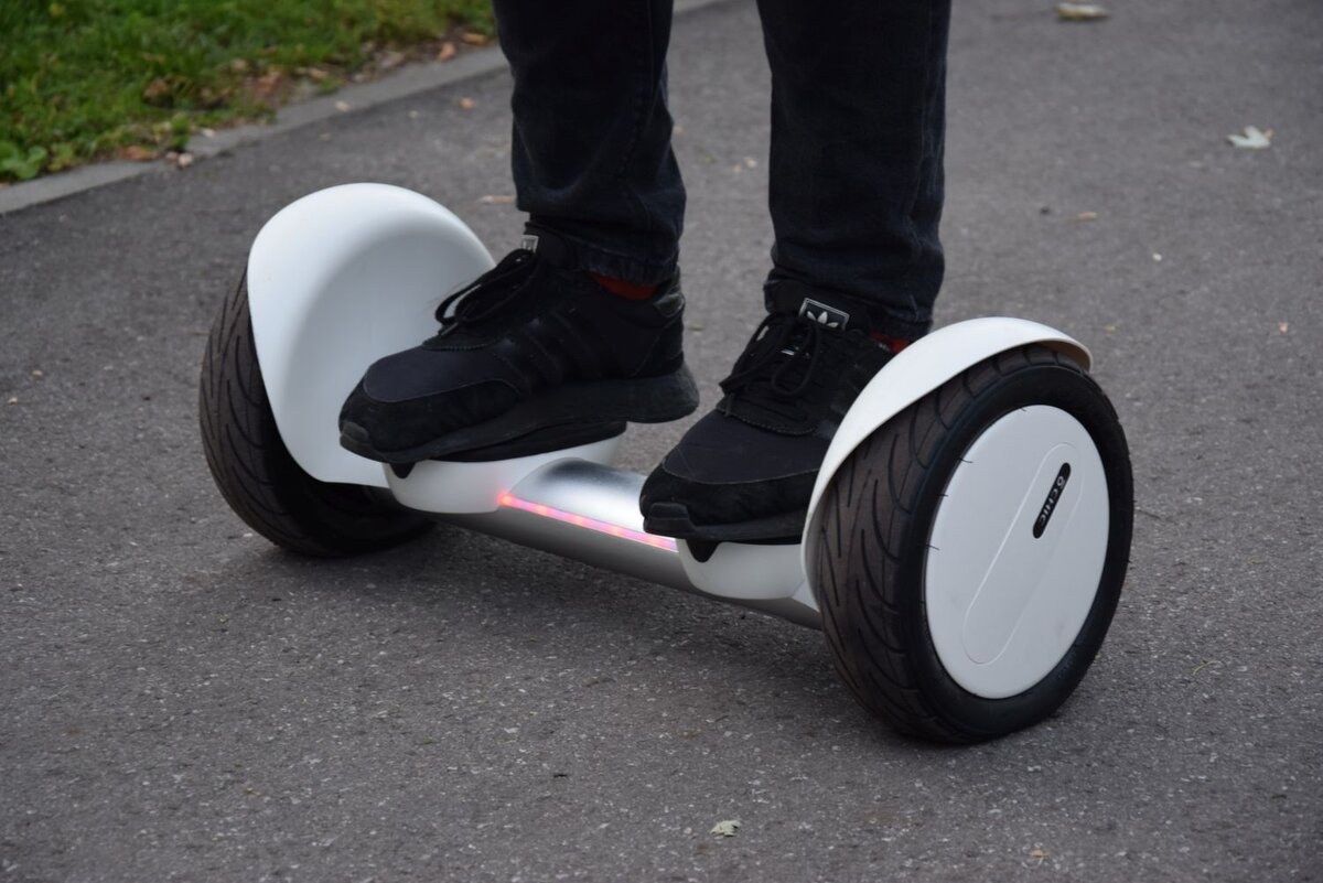 Фото из открытого источника 