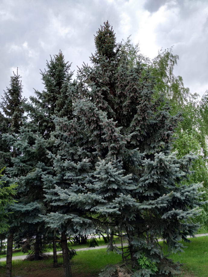 Парк имени 850-летия города Москвы в Марьино