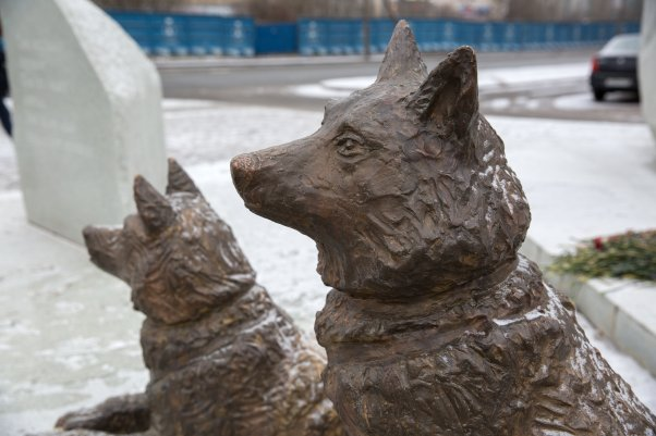 Фигуры северных ездовых собак (фото из интернета)