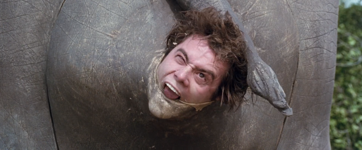 вентура носорог