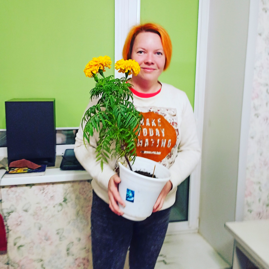 Автор канала и бархатцы)))