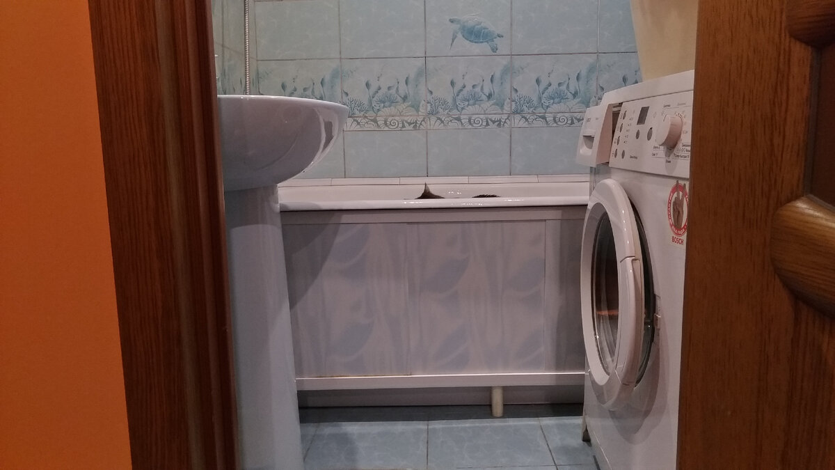 А некоторые кошки любят забираться прямо в ванну!