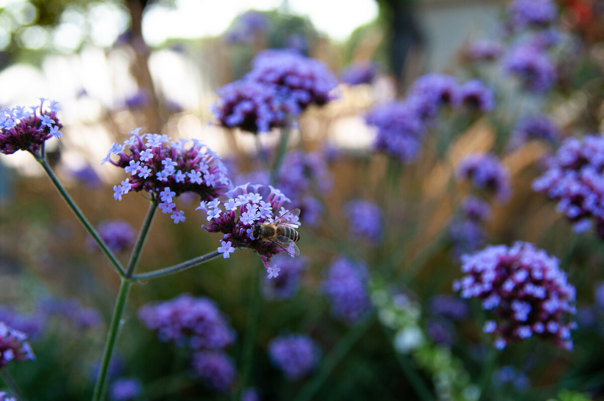 ISO 100, 1/200S, 28mm, F/4.5 Minolta AF ZOOM 28-135 1:4(22)-4.5