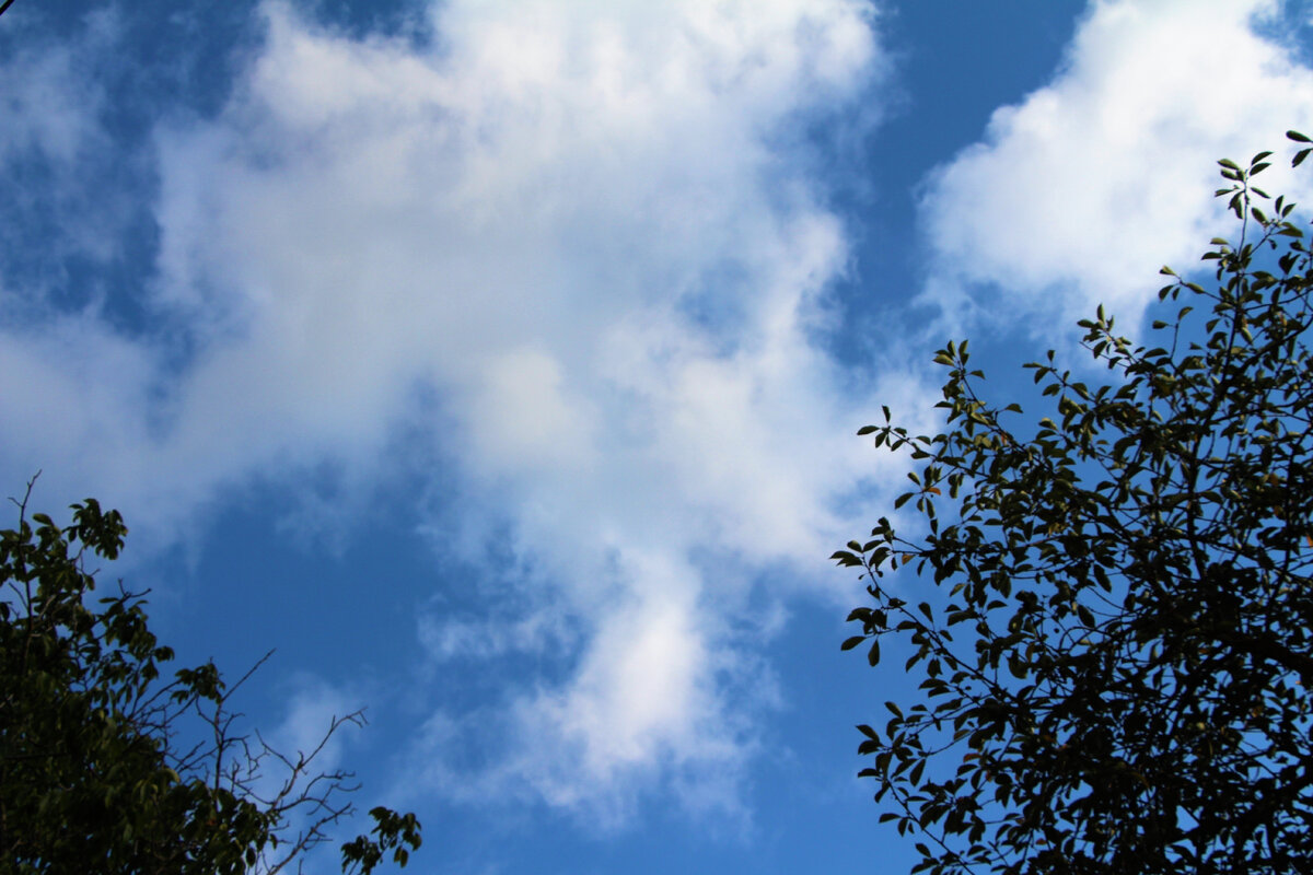 Листаем галерею.