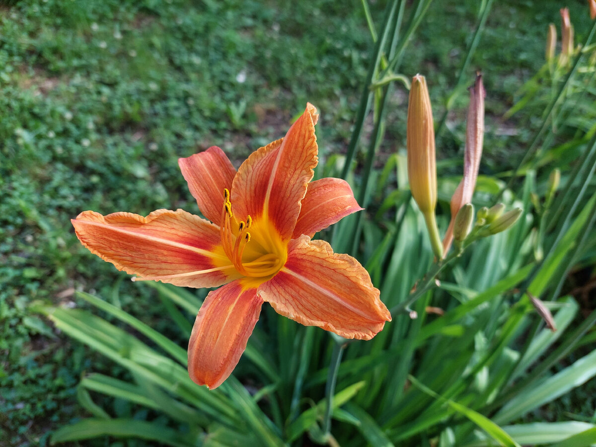 Марьины рассказы дзен. Марьины рассказы дзен. Марьины рассказы дзен. Марьины рассказы дзен. Марьины рассказы дзен.