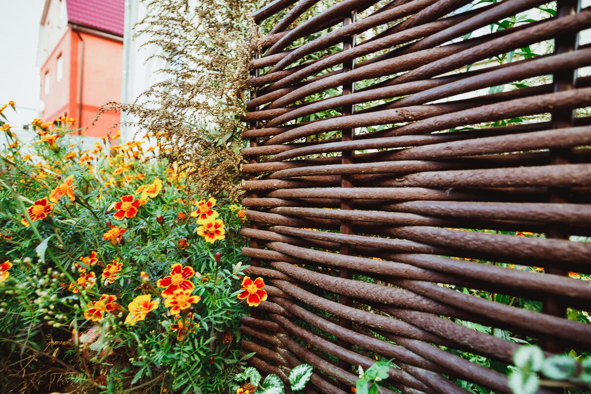 пластиковый забор плетень. забор из лозы. забор из лозы. плетеное ограждение. забор дпк лоза.