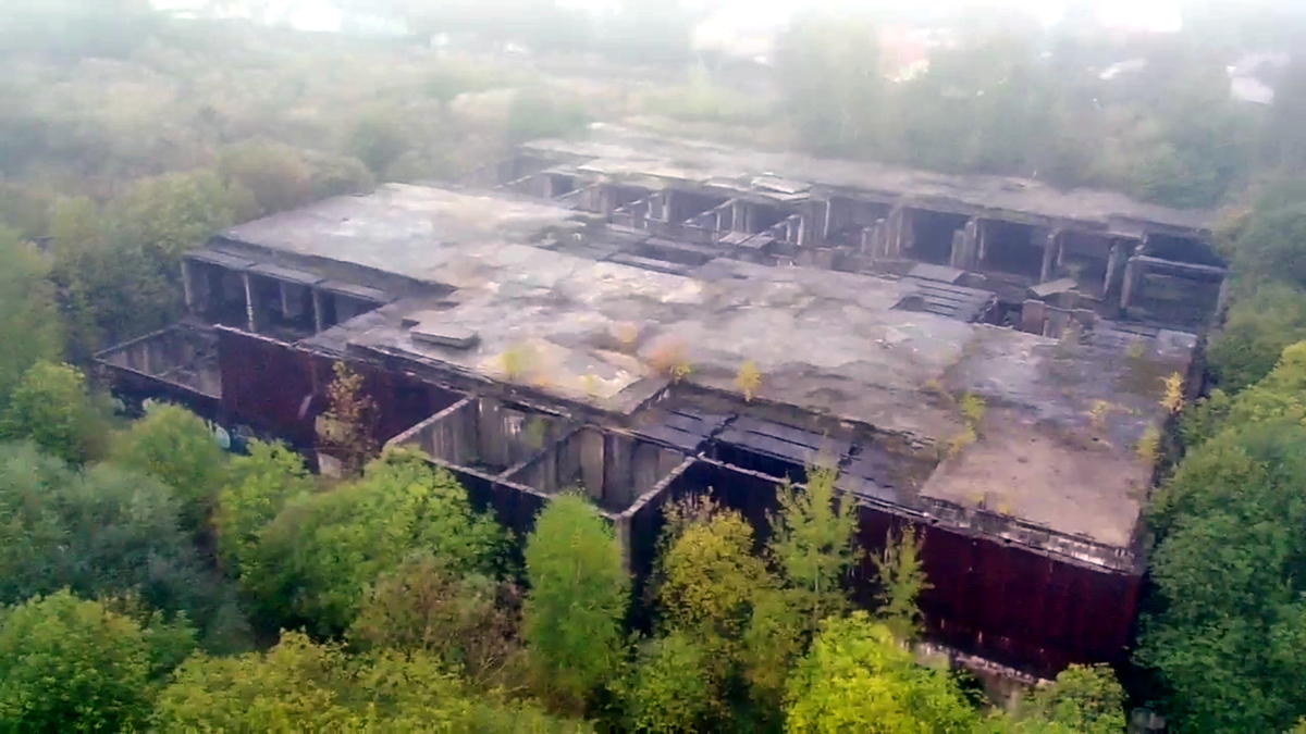 Монстр в утреннем тумане