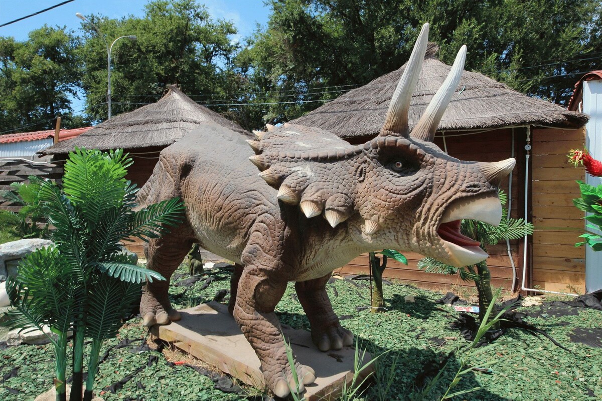 Источник фото- сайт https://clck.ru/Xo4mC