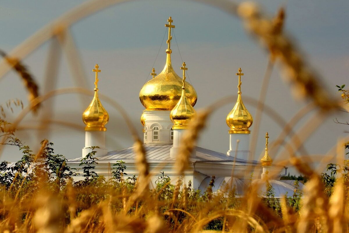 фото из Интернета