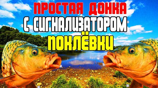 Зимняя донка на налима: как сделать своими руками и ловить хищника зимой