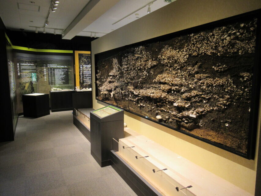 
Раковинный курган Футацумори – во время раскопок и в музее / Jomon Prehistoric Sites in Northern Japan