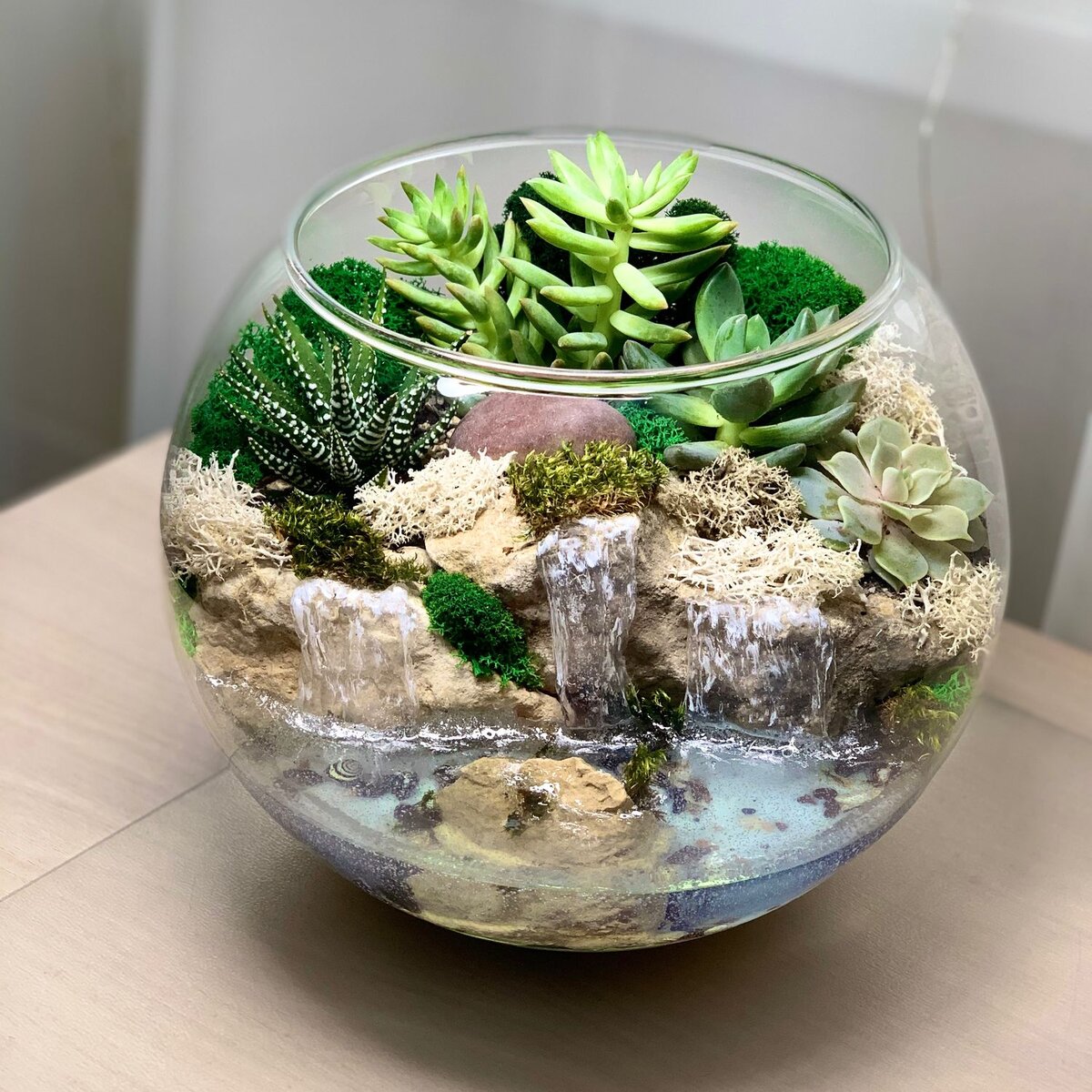 Фото из открытых источников.