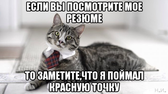 Источник: https://pikabu.ru/story/moe_rezyume_4249662