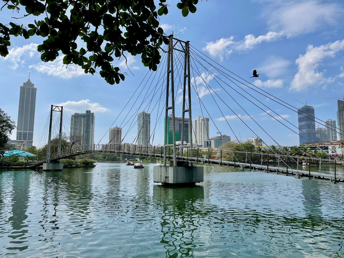 Фото автора. Озеро Бейра, Вантовый мост.