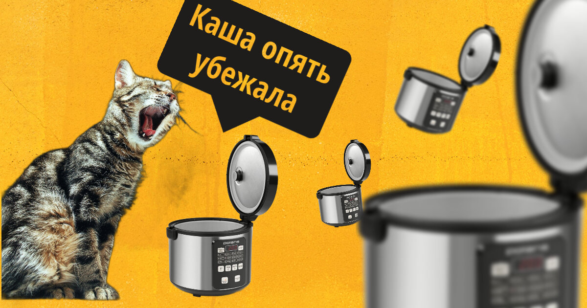 Каша, не убегай! Подожди!
