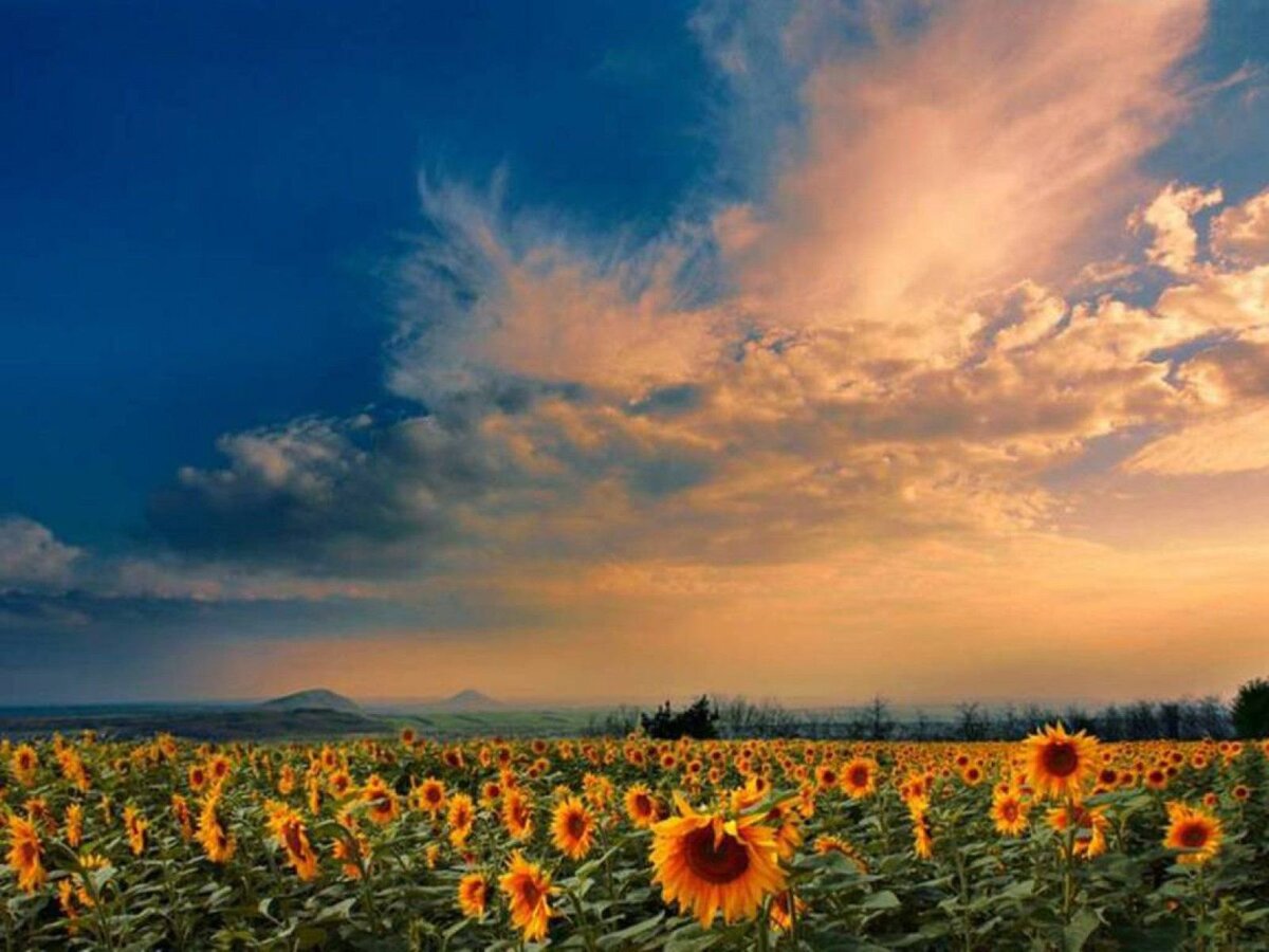 Источник фото: интернет