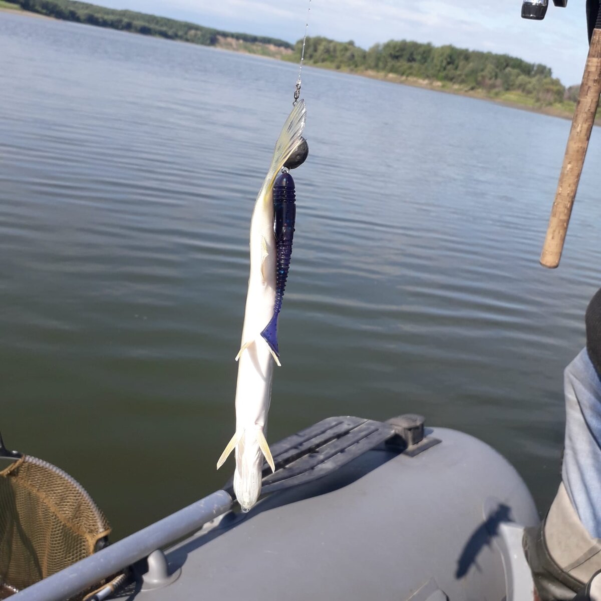 Обской "монстр"