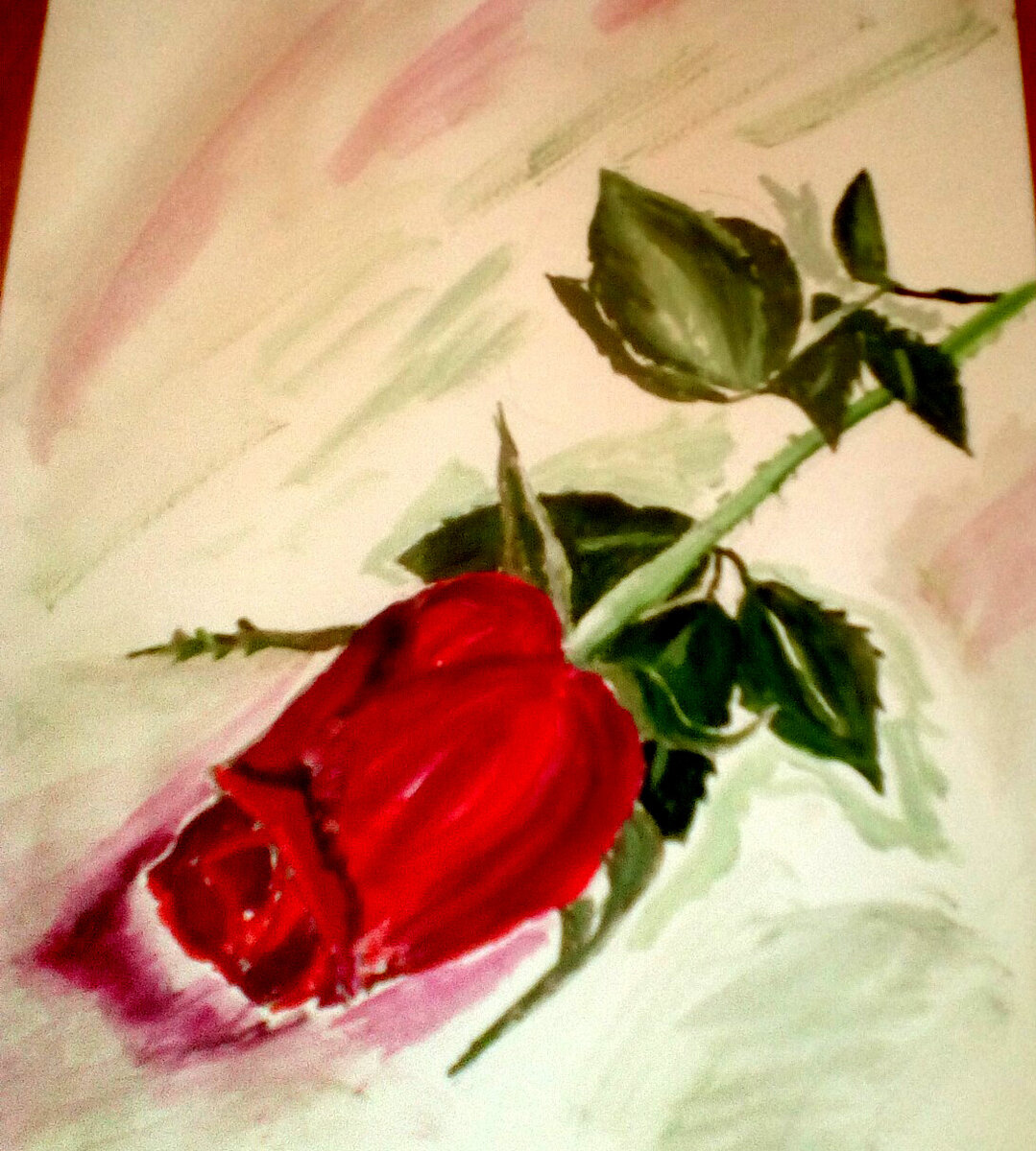 (Фото автора).