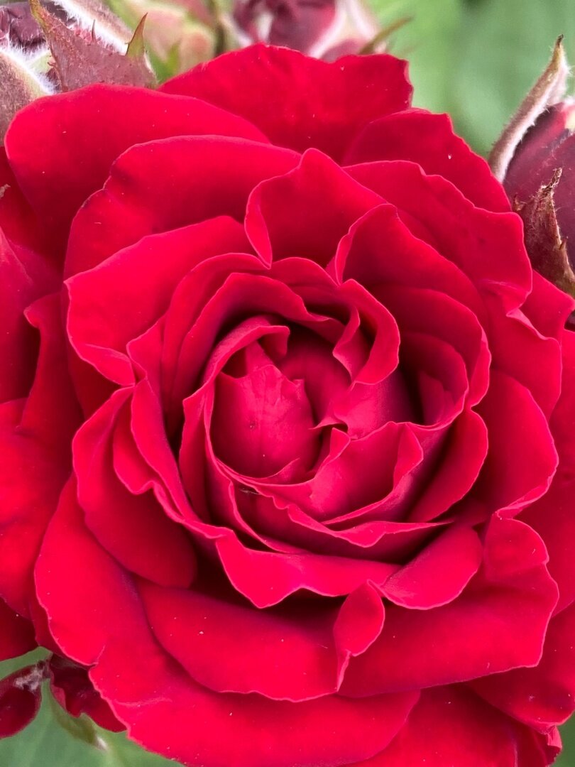 Фото из личного архива автора