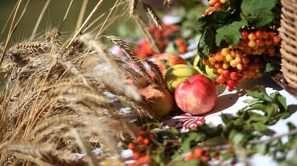    © Sputnik / Максим Богодвид