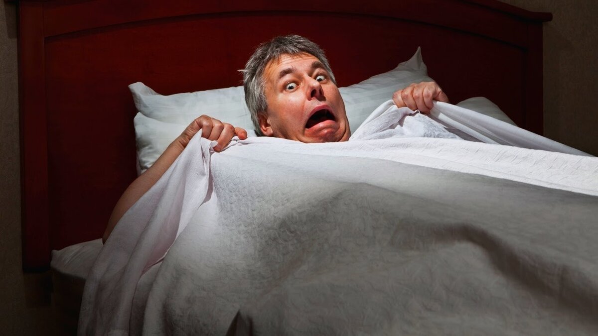 изображение из интернета)